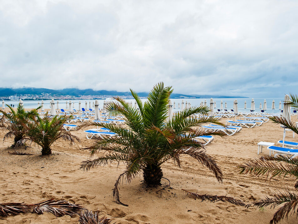 Тури в Болгарію та інші країни